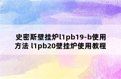 史密斯壁挂炉l1pb19-b使用方法 l1pb20壁挂炉使用教程